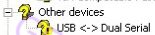 ��� ��� �������� ����� �� ���� usb<=>dual serial