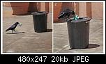 ���� ��� ������ ���� ����.&nbsp;

�����:	550651_10150996901963081_1867094900_n.jpg&nbsp;
�������:	32&nbsp;
�����:	20.1 ��������&nbsp;
������:	105711