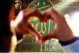 ������ ������� mohd