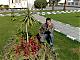 ������ ������� ahmed omar