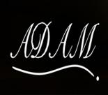 ������ ������� mr adam