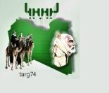 ������ ������� targ74