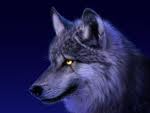 ������ ������� wolf_78