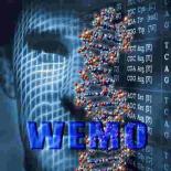 ������ ������� wemo4ever