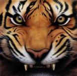 ������ ������� Seif-eldin