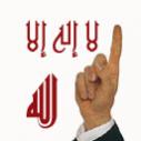 ������ ������� hamlili