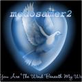 ������ ������� medosamer2