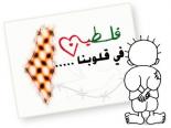 ������ ������� dmoo3