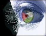 ������ ������� Ahmad XP