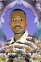 ������ ������� moza2008