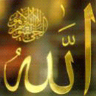 ������ ������� fatihi23