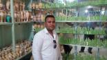 ������ ������� sayeddamarany