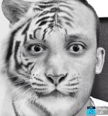 ������ ������� syfou