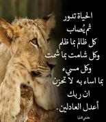 ������ ������� yacout