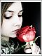 ������ ������� rose