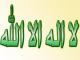 ������ ������� elwansh142