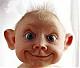 ������ ������� haitham89