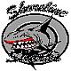 ������ ������� shark net