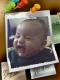 ������ ������� mohamed@ll