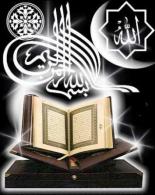 ������ ������� mstafadn