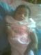 ������ ������� maimedo