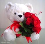������ ������� drrami75