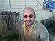 ������ ������� walied_sad