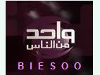 ������ ������� BIESOO