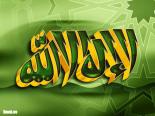 ������ ������� mohsenbb5