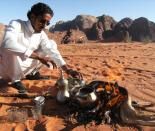������ ������� petra3