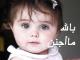 ������ ������� mmhmadrmr