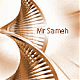 ������ ������� mr/sameh afra